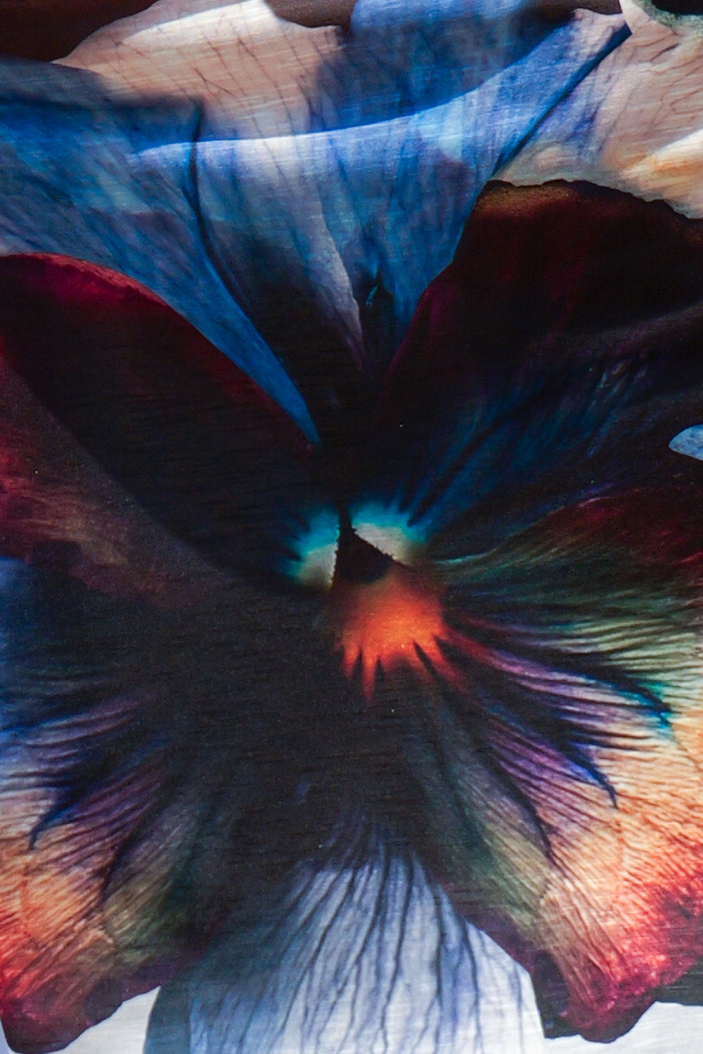 TUNIQUE CARRÉE À COL À VOLANTS - VIOLET