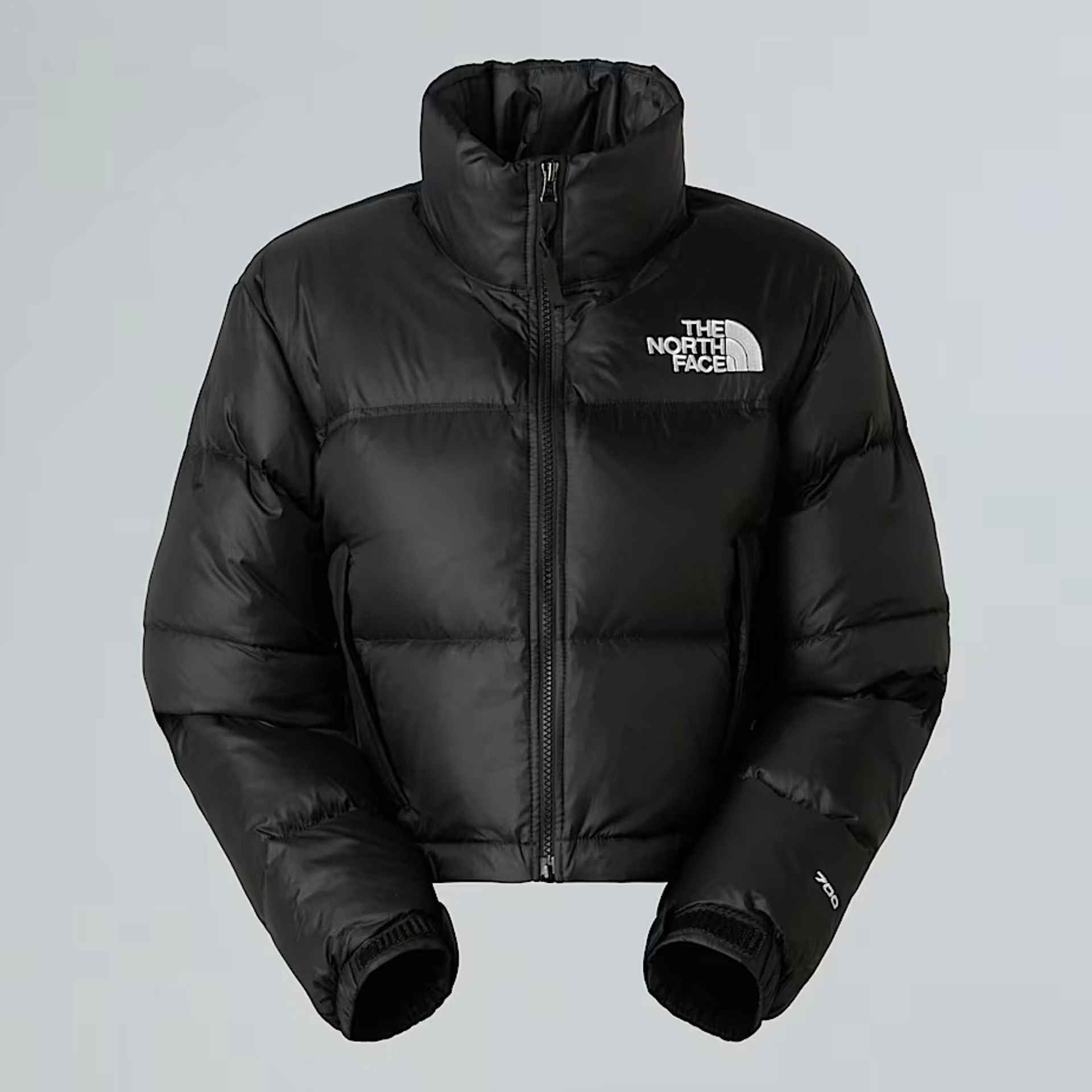 The North Face Jackets
