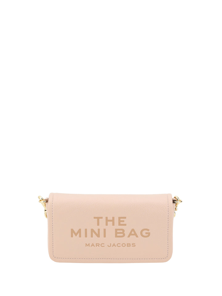 The Mini Bag Shoulder Bag 1