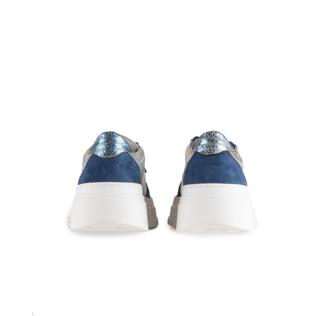 Pauromina-WB199869-BLU (40)