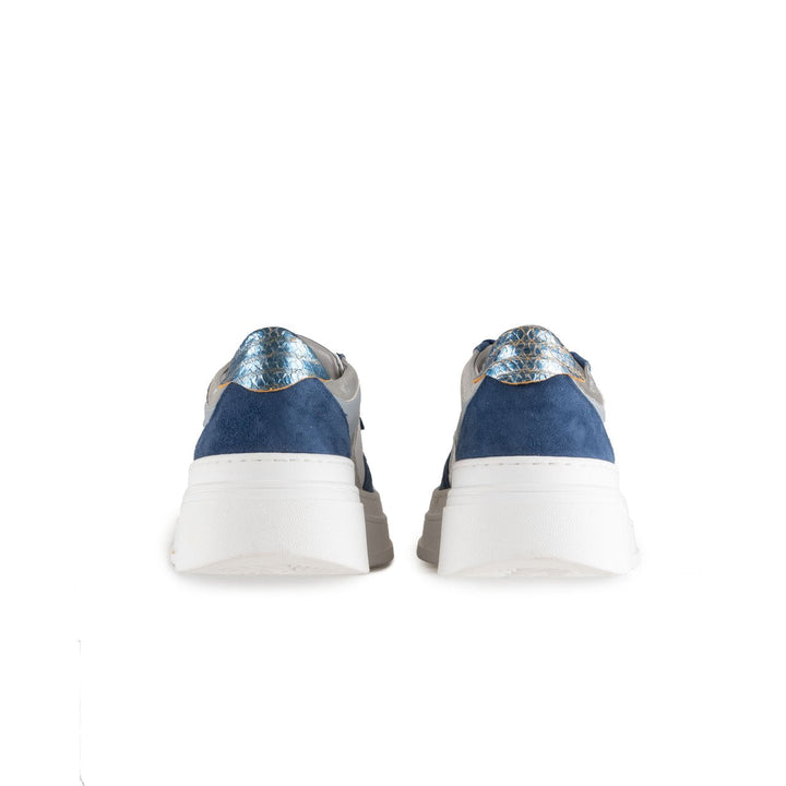 Pauromina-WB199869-BLU (40)