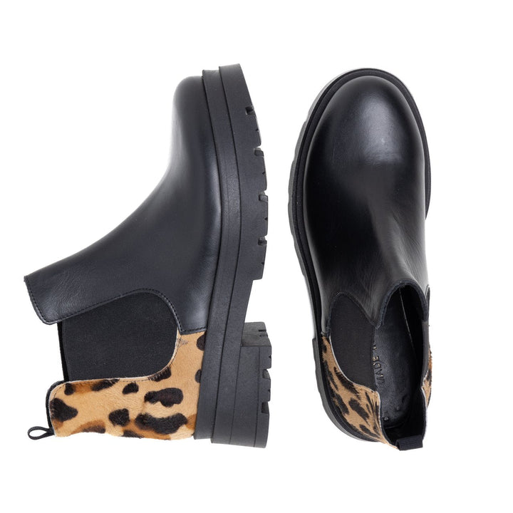 Anatridina- WB199927-NERO-LEOPARDO (878)