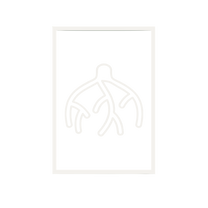 Fashion Roots