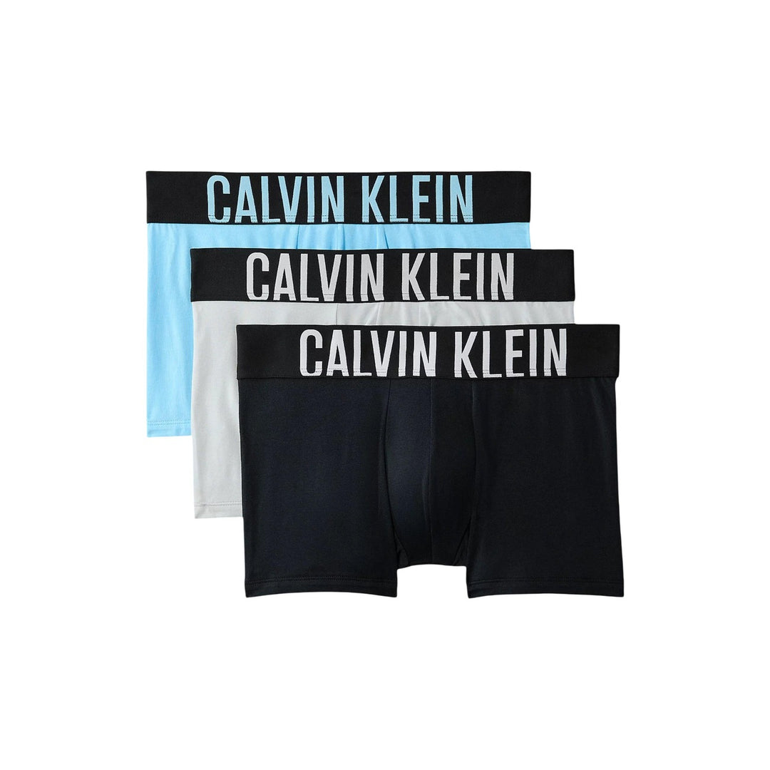 Calvin Klein Underwear - Calvin Klein Underwear Men Underwear