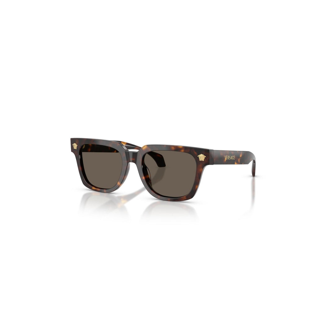 Versace - Versace Men Sunglasses