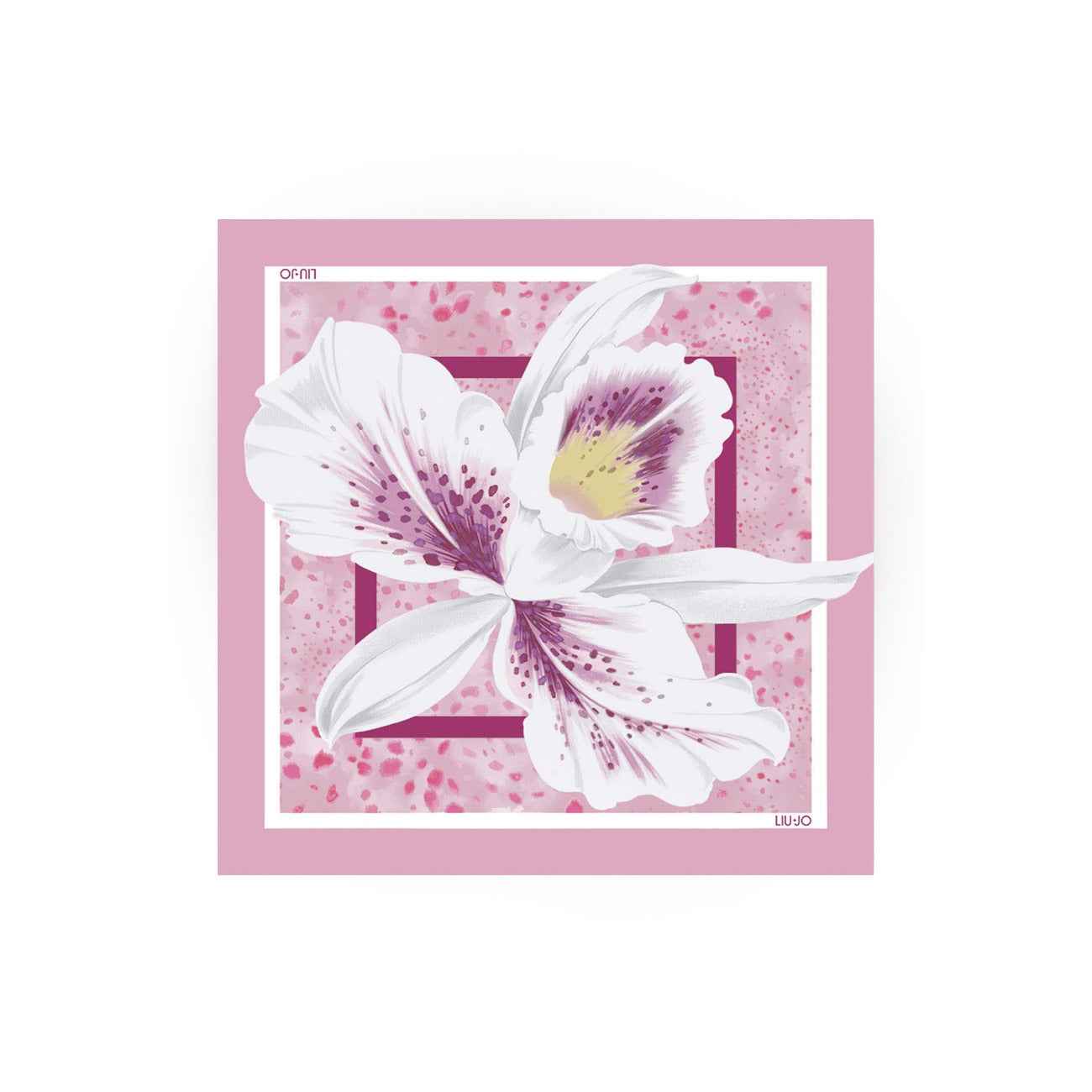 Liu Jo - Liu Jo  Women Scarve