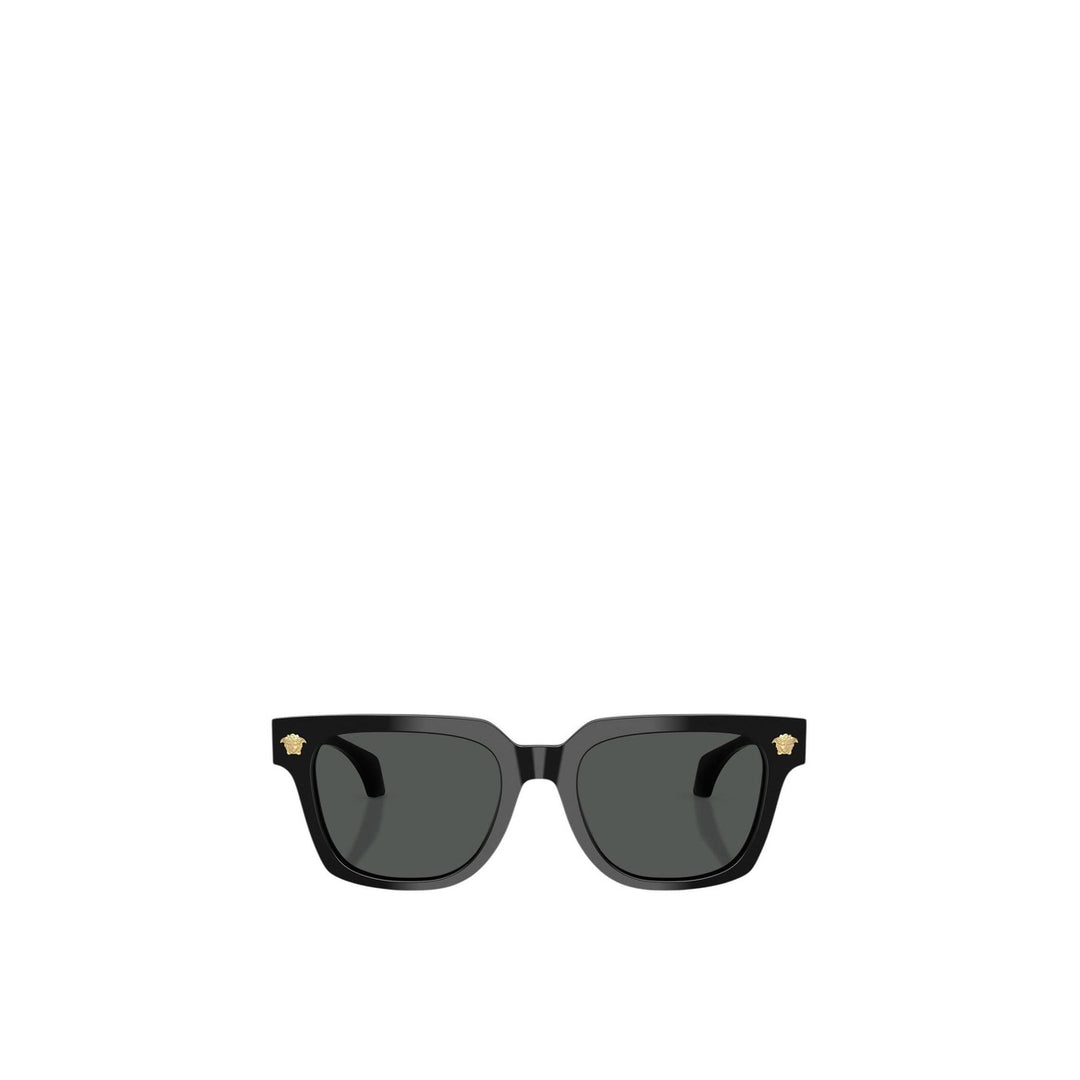 Versace - Versace Men Sunglasses
