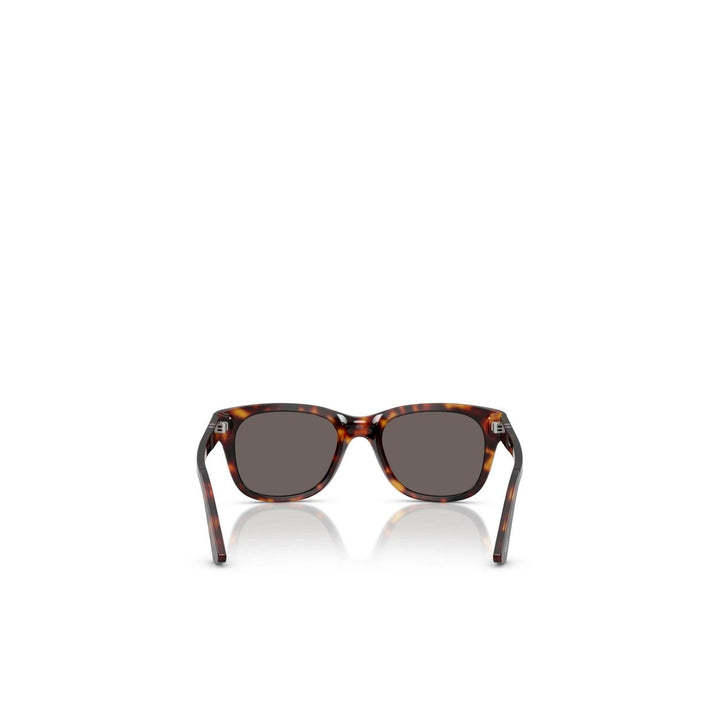 Persol - Persol Men Sunglasses