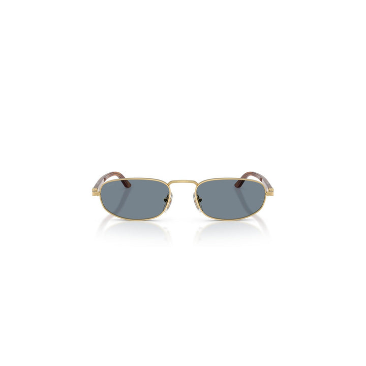 Persol - Persol Men Sunglasses