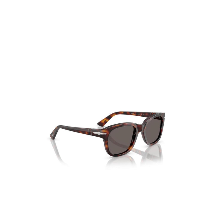 Persol Men Sunglasses