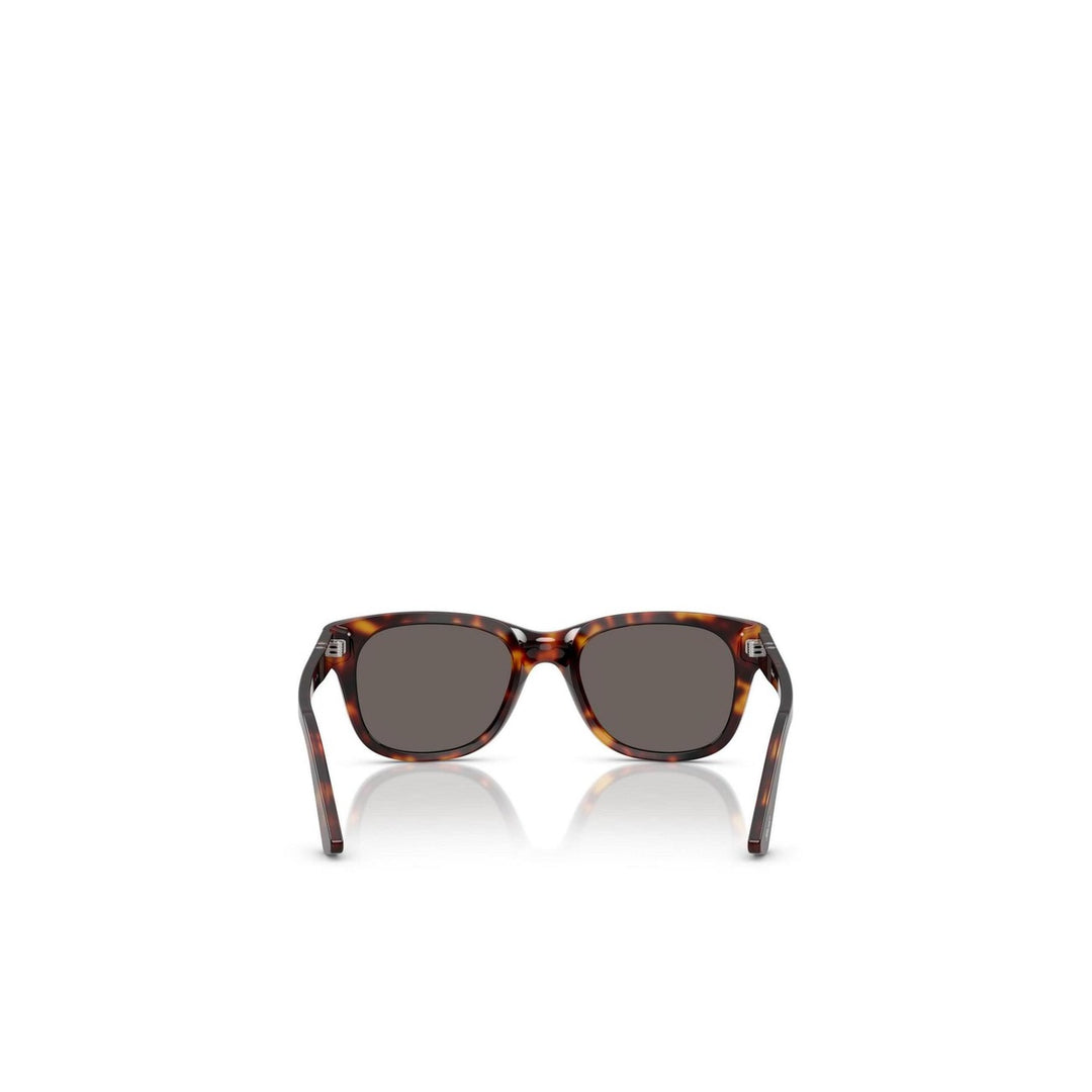 Persol Men Sunglasses